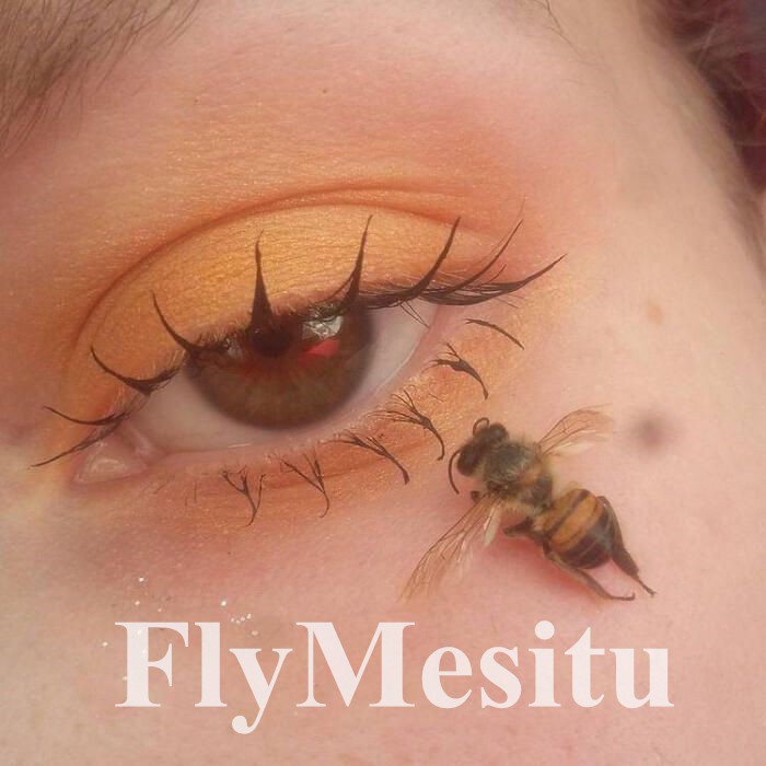 FlyMesitu.vn