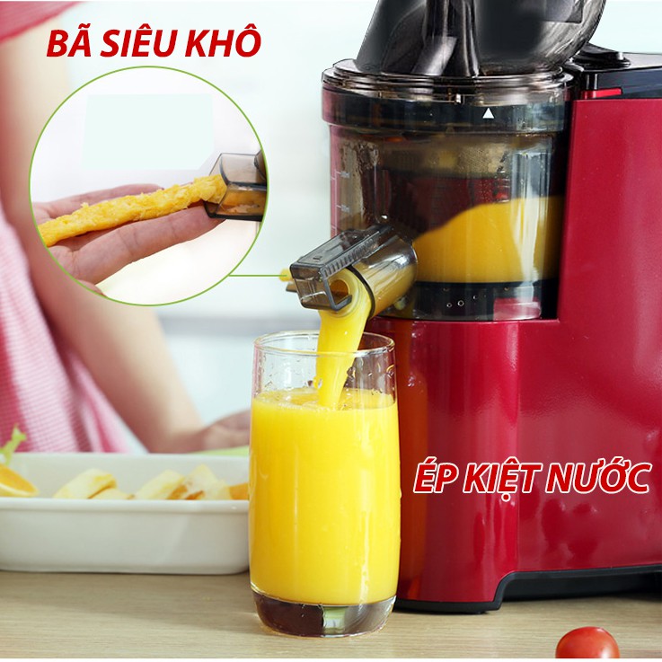 [BẢO HÀNH 12 THÁNG] MÁY ÉP CHẬM HONGXIN RH-312 - SAVTM, Máy ép tốc độ chậm cỡ lớn - Ép kiệt bã - Làm Kem - Làm sữa hạt