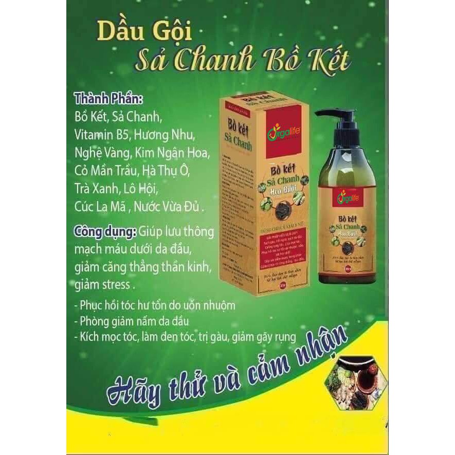 DẦU GỘI BỒ KẾT
