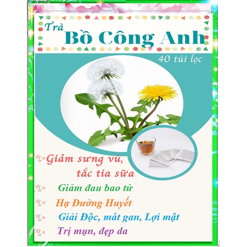 Trà BỒ CÔNG ANH - lợi sữa,lợi tiểu, giảm tiểu đường,thanh lọc gan, chống loãng xương- 40 Túi lọc