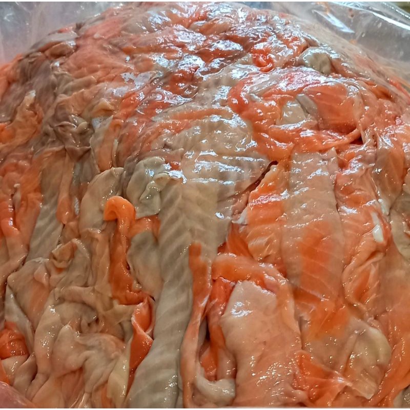 1Kg Vụn cá hồi lưng cho ❤️ vụn nâu SỈ 45-49.5k không xương thơm, thức ăn tươi cho chó mèo - Joyful Day - GIAO HỎA TỐC