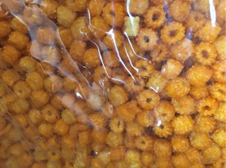 Sỉ 5kg snack sò và hạt sen