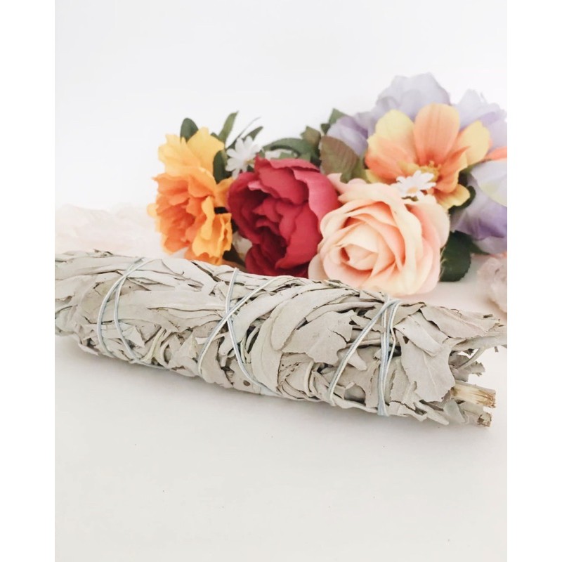 XÔ THƠM TRẮNG WHITE SAGE Size Đại 23-25cm -  THẢO MỘC XÔNG NHÀ