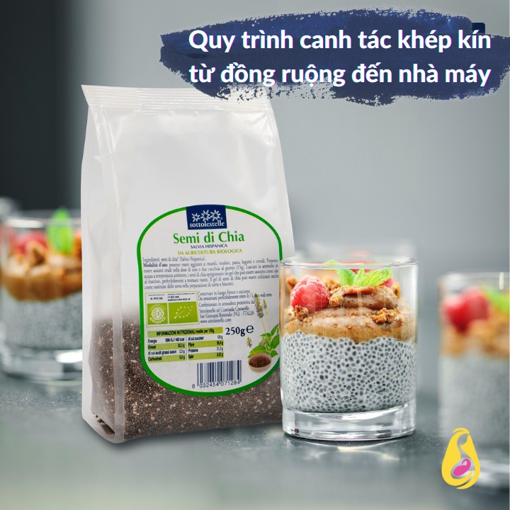 Đậu Hạt Hữu Cơ Sottolestelle 100gr DH001