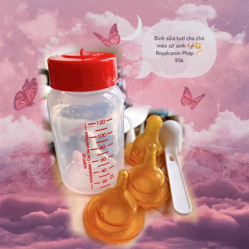 Sữa Royal Canin Baby Dog Milk - Thùng 2kg 🥡 Sữa non cho chó sơ sinh 🐶