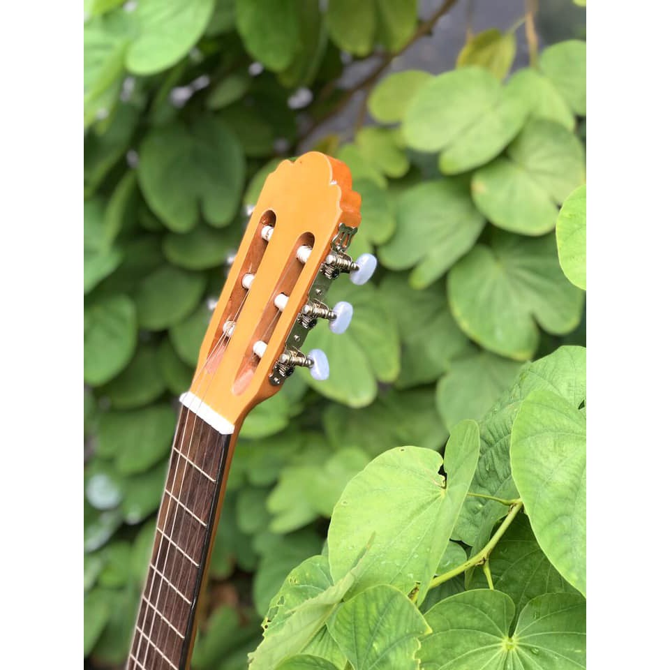 Guitar Classic Khuyết REX HGW195C - Cho người mới tập Guitar - Phân phối Sol.G