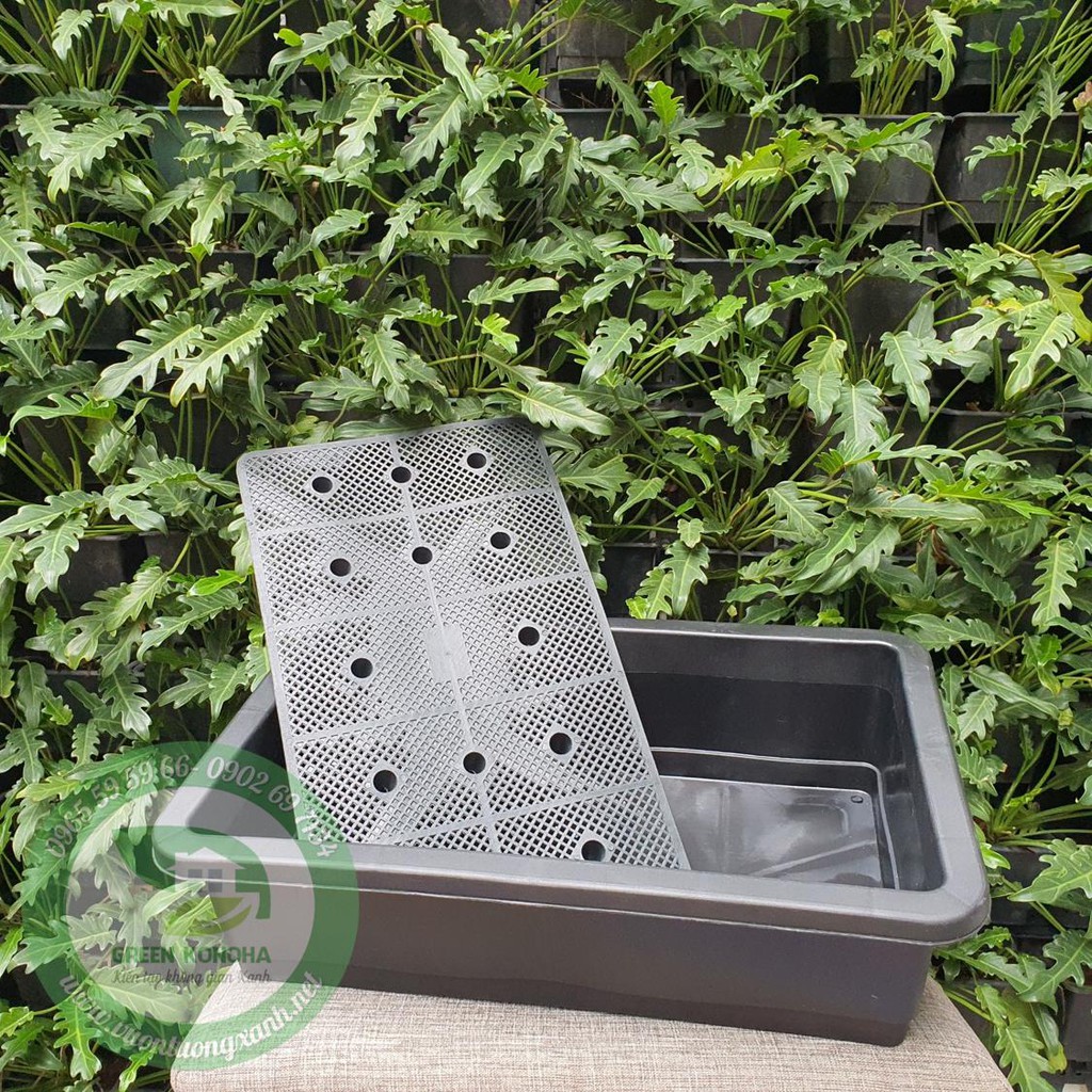 CHẬU TRỒNG RAU, TRỒNG RAU THỦY SINH SIÊU RỘNG GREEN KONOHA