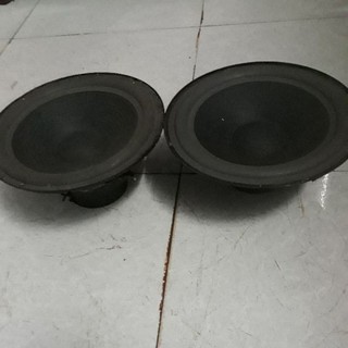 cặp loa bát.25cm.