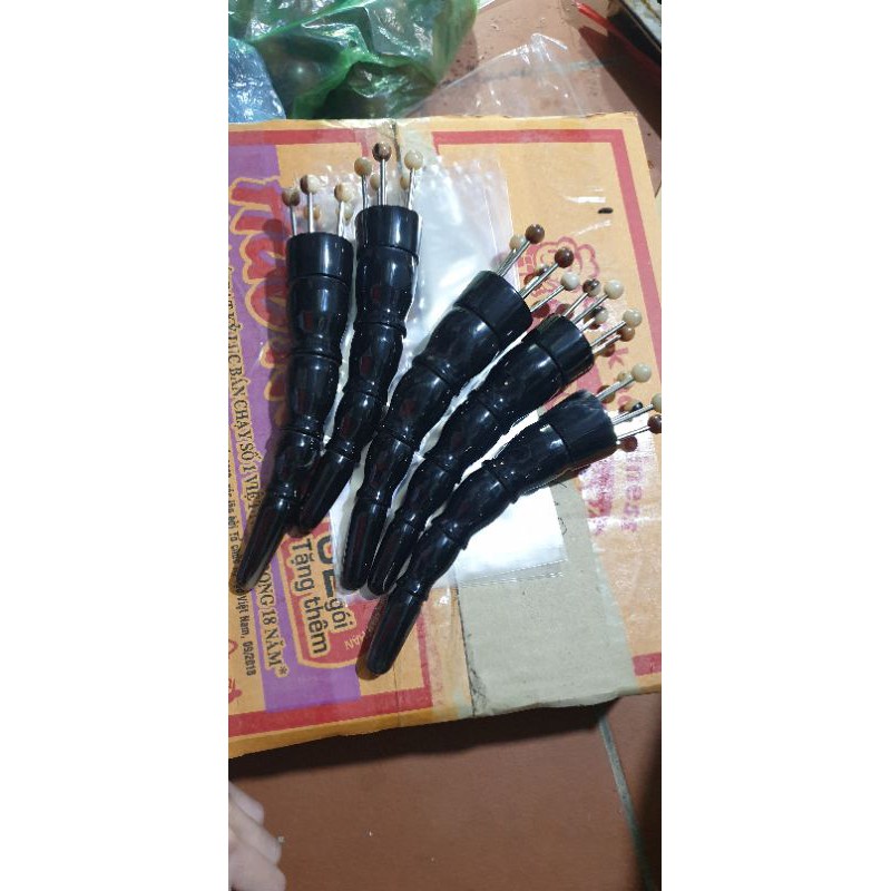Bọ cạp hoa khế sừng đen 1