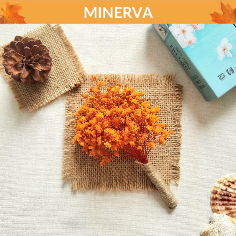 TRANG TRÍ Bó hoa khô mini handmade phụ kiện chụp ảnh, bó hoa quà tặng