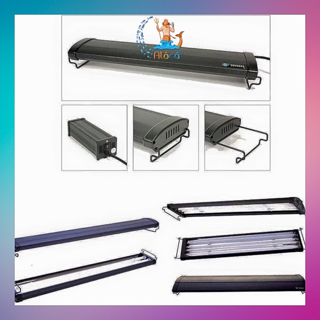 Bóng đèn LED 2 hàng bóng Dual Pro T5HO 90cm - 100cm, 120cm - 140cm, 150cm tanning cho cá rồng