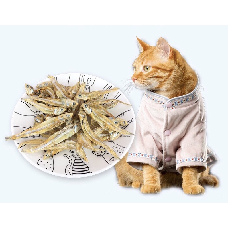 CÁ SẤY KHÔ ĐỒ ĂN VẶT CHO THÚ CƯNG LOẠI KHỦNG LONG MÀU XANH