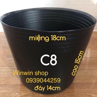 chậu nhựa trồng cây cảnh, combo 50 cái chậu C8