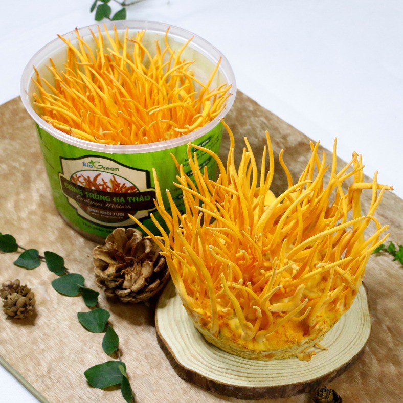 Đông trùng hạ thảo Biogreen SP