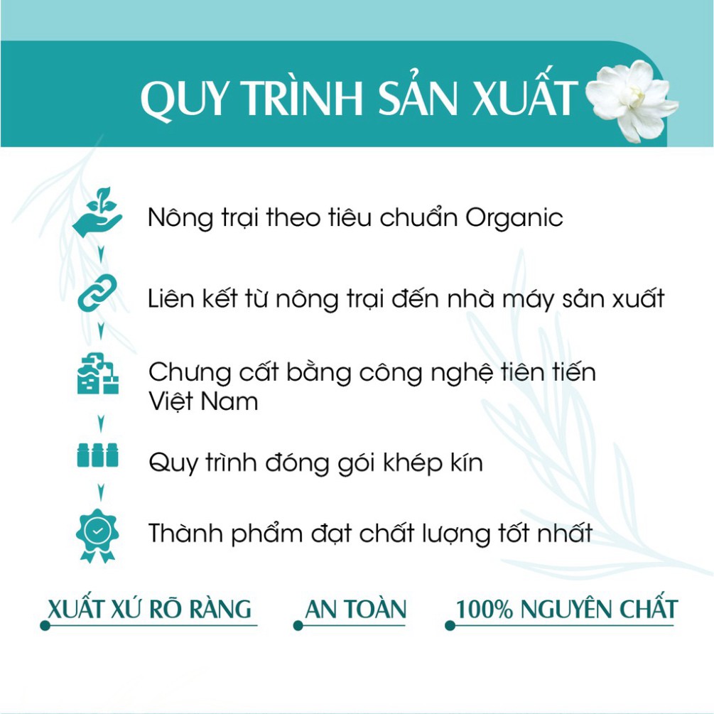 Xịt Phòng Tinh Dầu Bạc Hà Hữu Cơ Organic 24Care 50ML - Kháng khuẩn - Khử mùi hôi - Đuổi muỗi - côn trùng - Tập trung