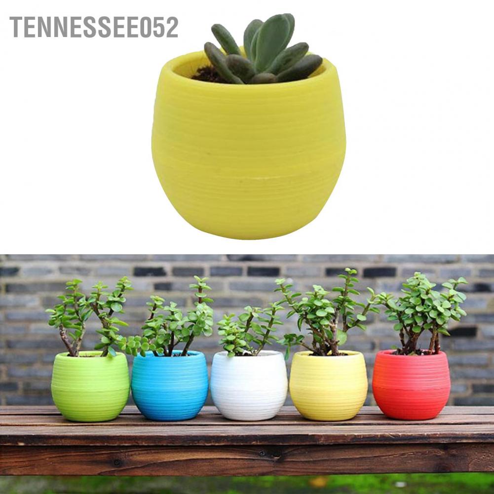 Tennessee052 Succulent Pot Mini Seedling Flower Container Plastic for Garden Courtyard Balcony