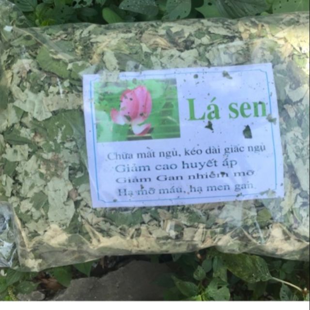 LÁ SEN KHÔ 1KG