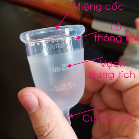 Cốc Nguyệt San Beucup Xudastore beucup Silicol Y Tế Wacker Đức chính hãng Siêu Mềm,Đạt Chuẩn FDA Hoa Kỳ