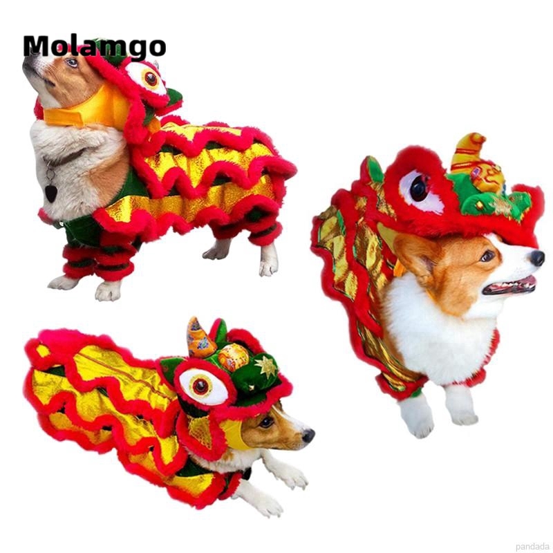 Trang phục biểu diễn MOLAMGO xinh xắn đáng yêu cho thú cưng