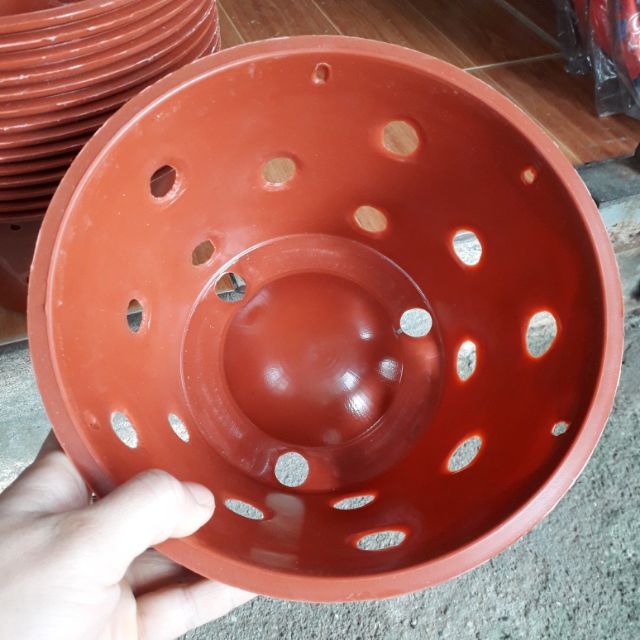 Chậu trồng lan rộng 20cm