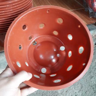 Chậu trồng lan rộng 20cm