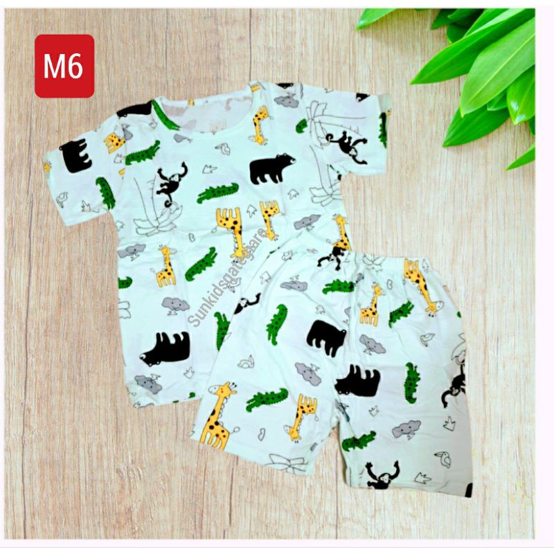 BBC58 [9kg-32kg] Bộ cotton cộc đùi Quảng Châu xuất hàn bé trai size nhí size đại