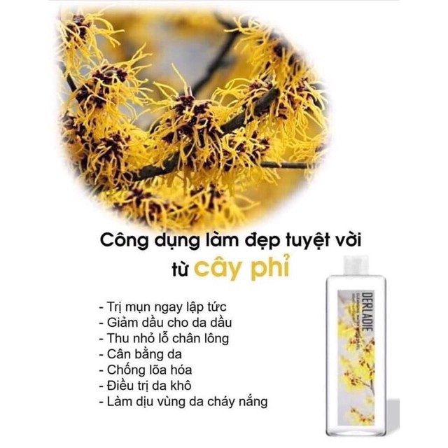 Nước Hoa Hồng Làm Sạch Dưỡng Ẩm Dịu Nhẹ Chiết Xuất Cây Phỉ Derladie Natural Witch Hazel Toner 500ml | BigBuy360 - bigbuy360.vn