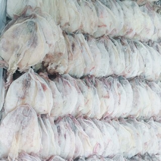 Combo 20 con mực khô y hình