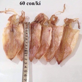 Mực câu 1kg 574k