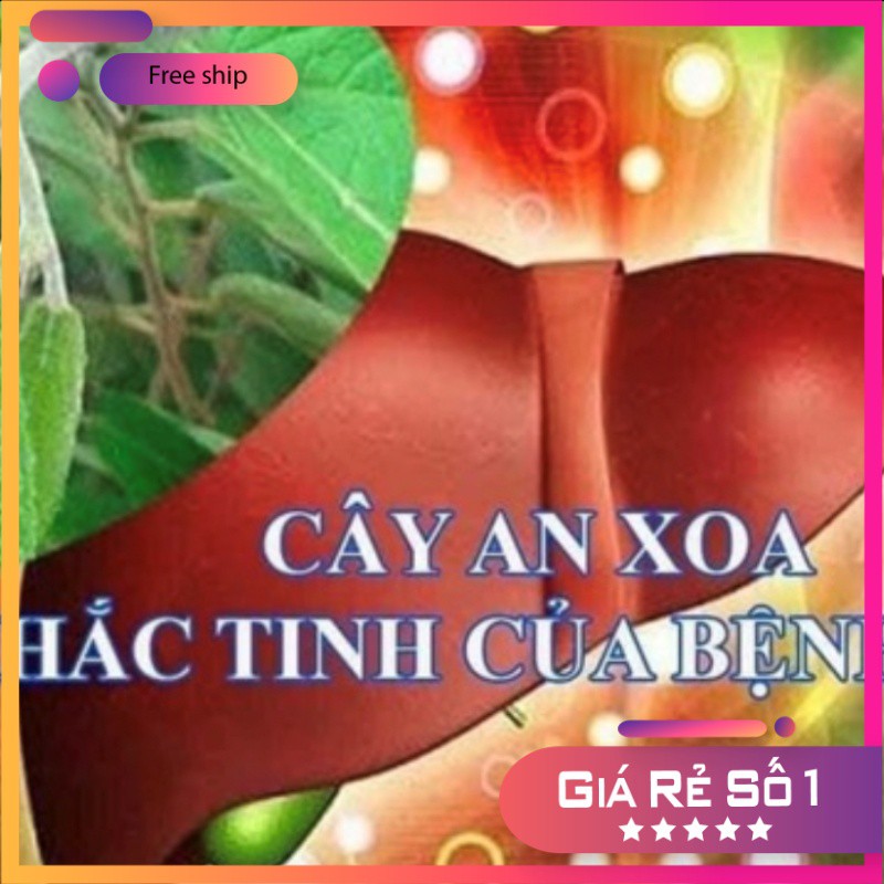 Cây An Xoa 1kg khô hàng chuẩn chữa bệnh Gan-Dược Liệu Quý