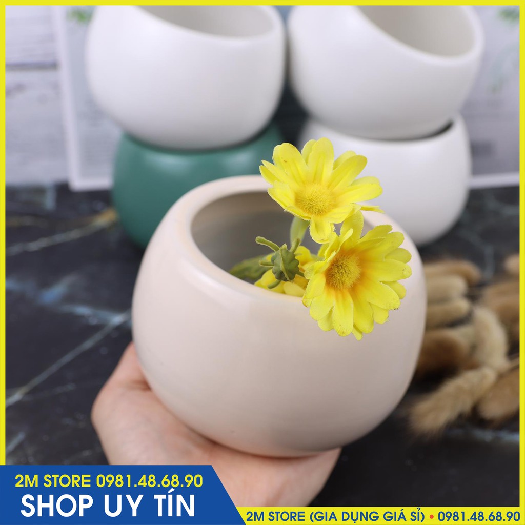 Chậu Hạt Dẻ Bát Tràng Trồng Cây Cảnh, Sen Đá, Xương Rồng Cao 8cm