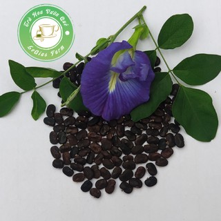 HẠT GIỐNG HOA ĐẬU BIẾC GÓI 40 HẠT (TÚI ZIP)