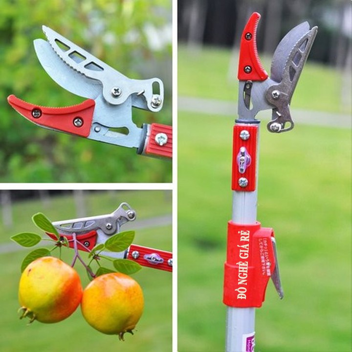 ⭐3 ĐOẠN 5M⭐KÉO CẮT TỈA CÀNH CÂY TRÊN CAO 5M - KÉO HÁI HOA QUẢ TRÁI CÂY GẬY DÀI 3M 4M 5M DỤNG CỤ ĐỒ LÀM VƯỜN NHẬT BẢN