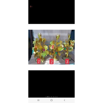 Cây Cành Vàng Lá Ngọc Trang Trí- Lá Ngọc Cành Vàng