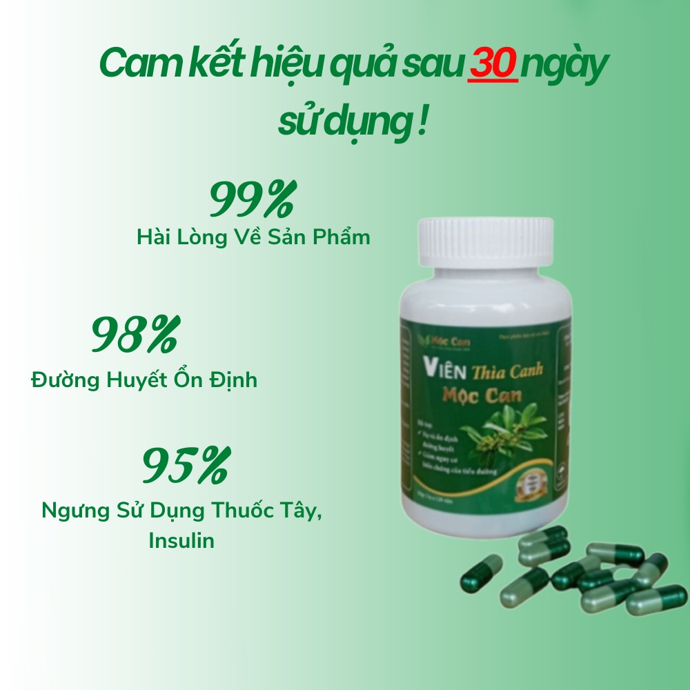 Viên Thìa Canh Mộc Can 120 Viên Hạ Ổn Định Đường Huyết Ngăn Ngừa Biến Chứng Tiểu Đường