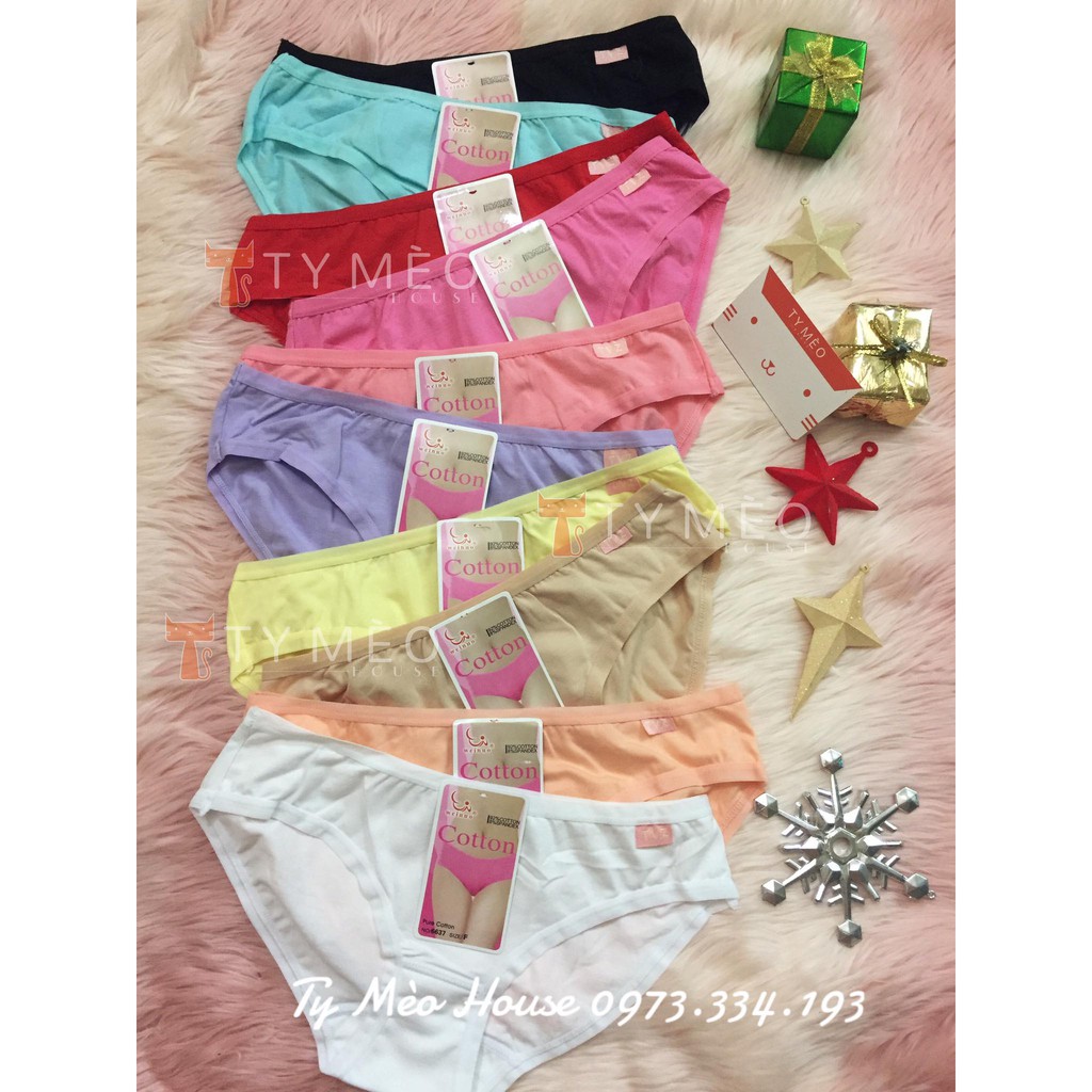 🐰Quần chíp xinh Cotton🐰