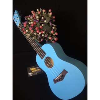 Đàn ukulele concert
