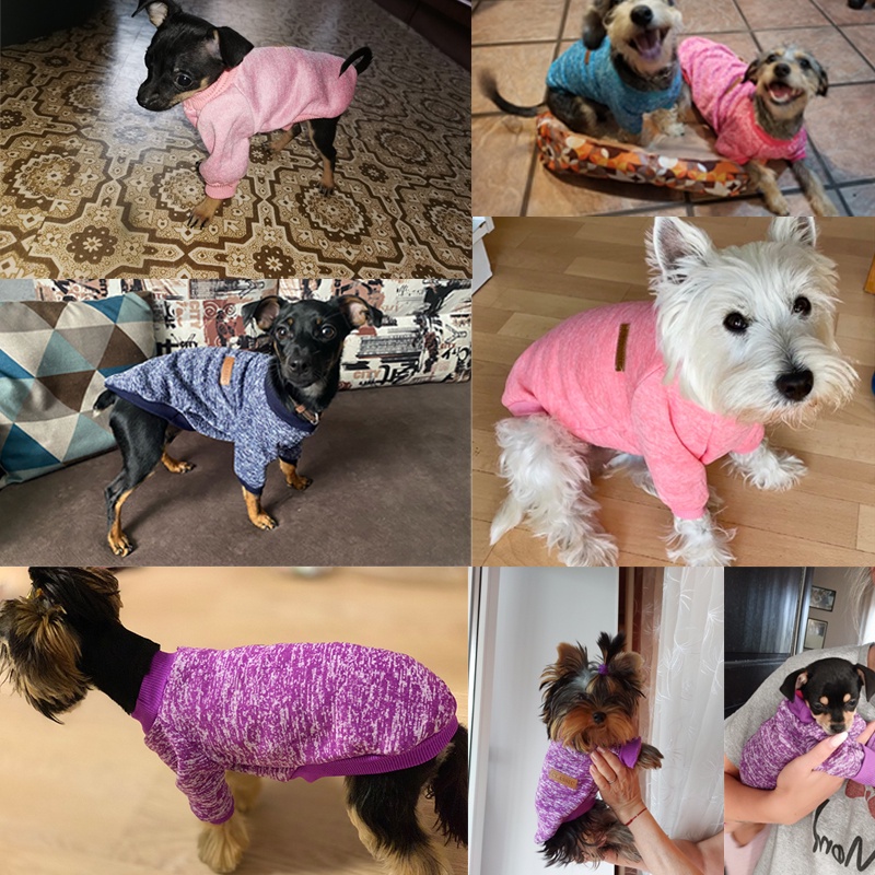 Áo Len Dễ Thương Cho Thú Cưng Nhiều Màu Tùy Chọn