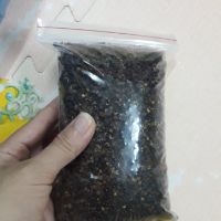 Giờ vàng giá sốc. Hạt dổi rừng 50g và 100g hạt mắc khén