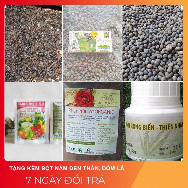 [RẺ NHẤT VN] Phân bón hữu cơ 6 thành tố KÍCH CHỒI, NUÔI HOA, ĐẨY QUẢ Amilong 1kg. Mã sp: CLPB69