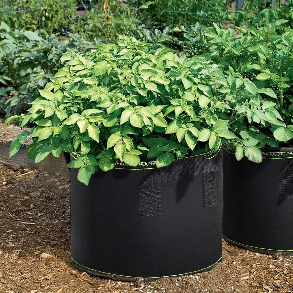 Túi trồng cây hình trụ bằng vải nỉ chất lượng
