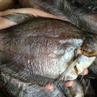 KHÔ CÁ BỔI CÀ MAU 1kg (10-12con kg)