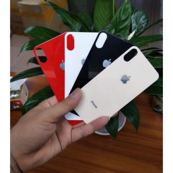 Cường lực mặt sau iphone 6/6s/7/8/6Plus/6sPlus/7Plus/8Plus/X/Xs/XsMax 4 màu cực đẹp