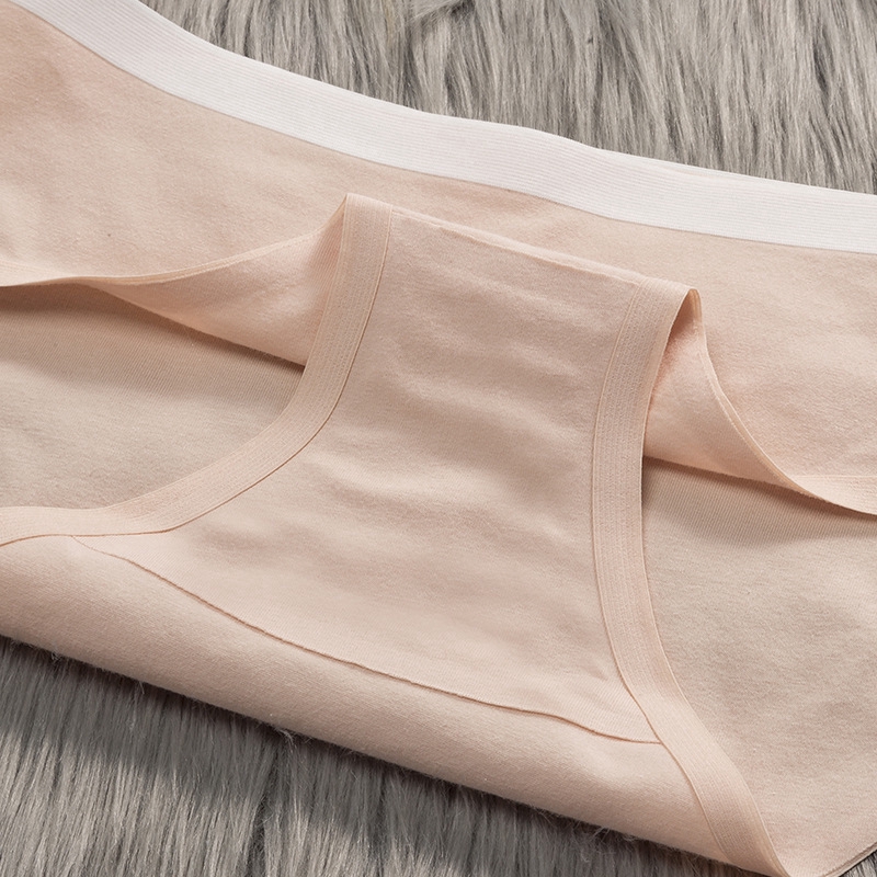 Quần Lót Cotton Đơn Giản Thoải Mái Cho Nữ TIMIA | BigBuy360 - bigbuy360.vn