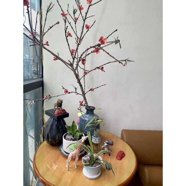 Thùng mô hình Động Vật 58 Chi Tiết.Đồ chơi thông minh, giáo dục sớm cho bé phát triển trí tuệ