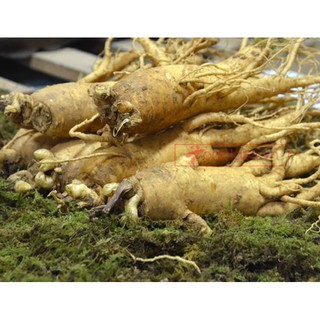 Nhân Sâm Tươi Hàn Quốc 8 củ/kg