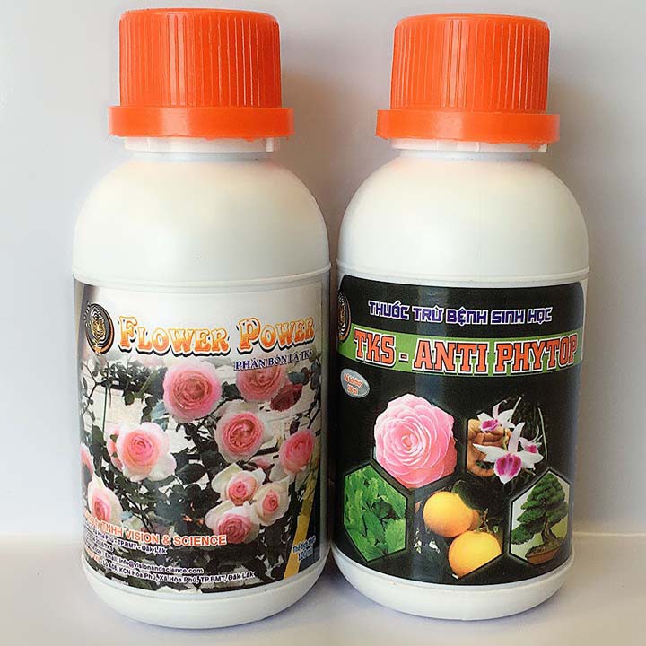 Phân Bón HOA HỒNG: Trừ Sâu Và Nấm Bệnh, Dưỡng Cây Bằng Sinh Học