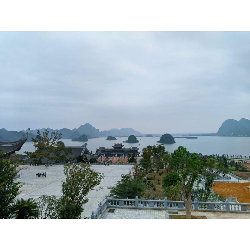 đon bac hoai mom