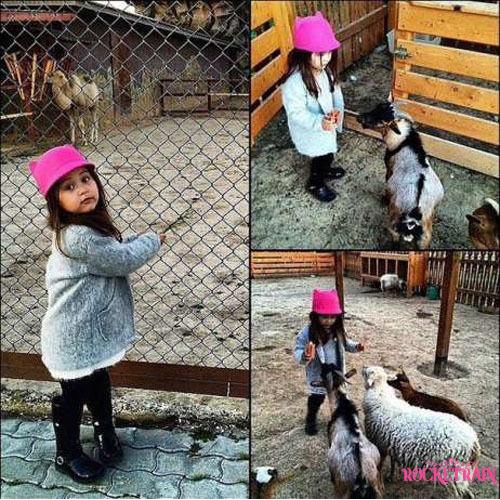 Nón quả bông tai mèo dễ thương cho bé