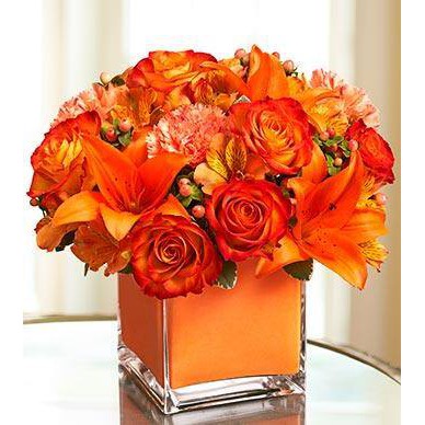 Bình thủy tinh trang trí, cắm hoa trụ VUÔNG 10x15cm